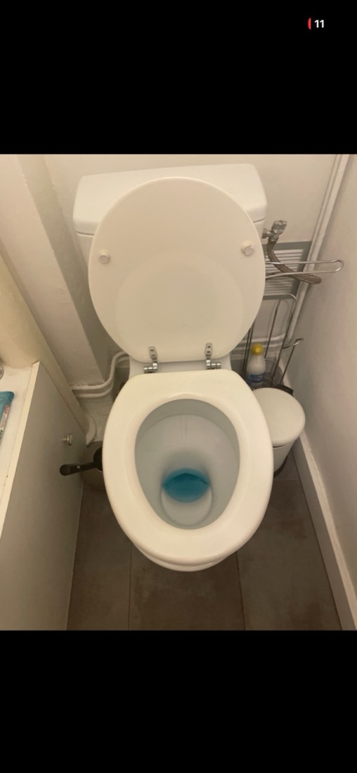 Cuvette de WC lors d'un débouchage de canalisation bouchée par un plombier d'urgence à Dijon